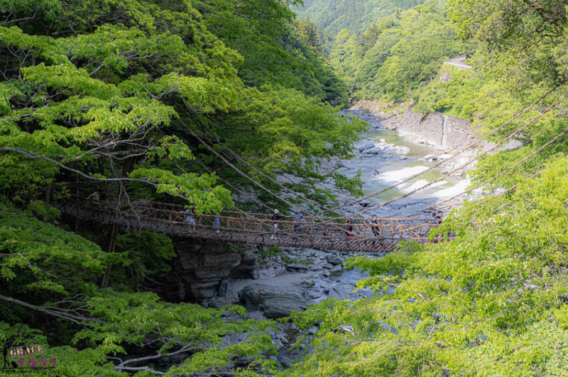 大步危小步危峽谷｜德島縣日本–搭乘麗星郵輪探索星號岸上行程，飽覽峽谷美景走訪刺激的祖谷藤蔓橋 @GRACE幸福漫步