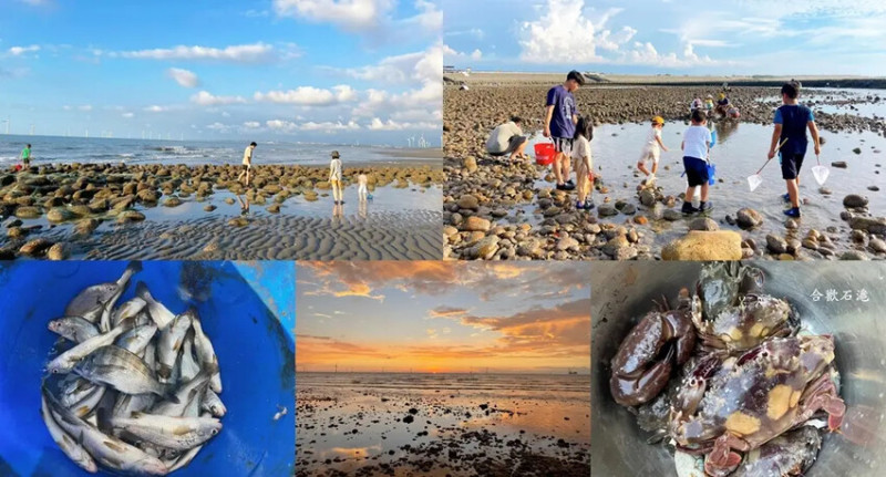 苗栗親子景點推薦｜合歡石滬潮間帶體驗抓螃蟹、撈魚、挖海瓜子，玩到不想回家!