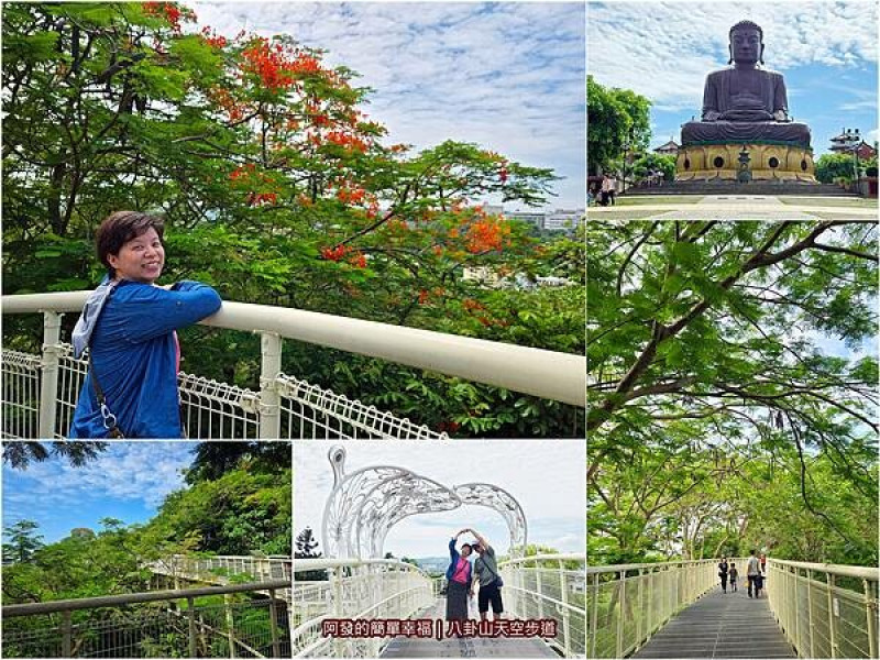 全台城市內最長，有如漫步樹梢被森林包覆，美景相伴的天空步道　∕八卦山天空步道∕鳳凰花漸綻∕鳳凰花道∕免費參觀∕平坦好走∕彰化必訪