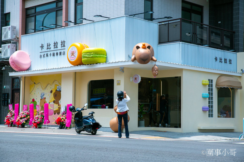 桃園內壢美食景點-卡比拉拉，超萌水豚君們圍繞著各式的手工點心大樹，太可愛了！！！（邀約