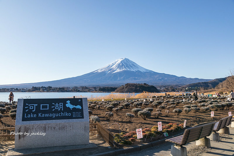 250129-0201日本-山梨縣-河口湖+大石公園