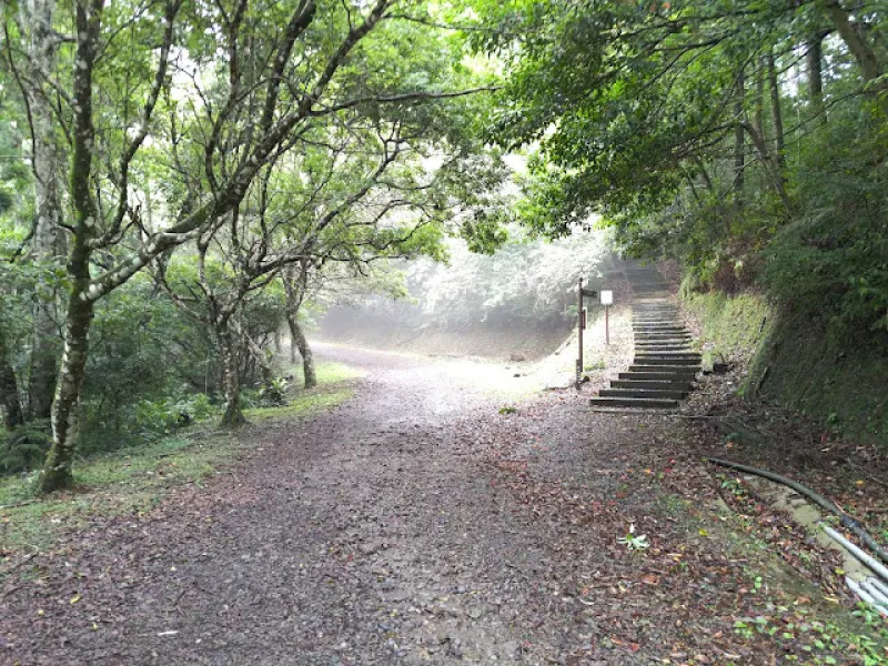 【遊記】回到「大漠國渡」的「起點」，續寫「森林之旅」，東眼山國家森林遊樂區 - 大漠國渡