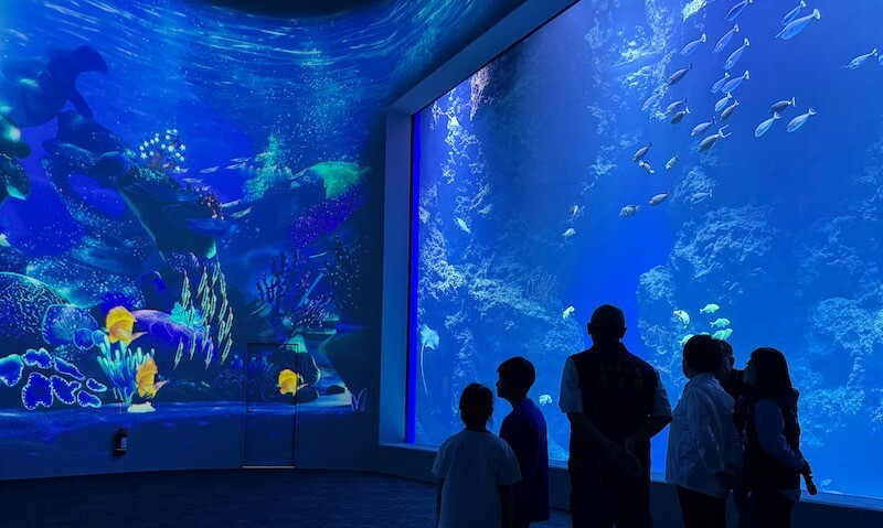 台中市清水區台中海洋館今日盛大開幕！打造中部旅遊最新亮點