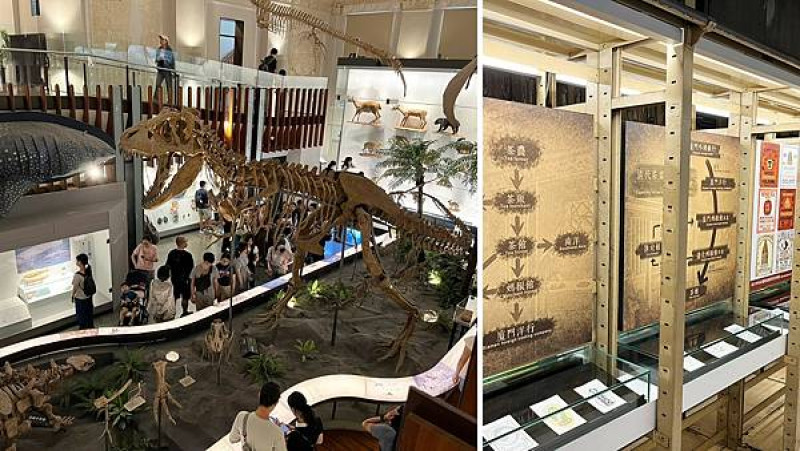 【台北親子旅遊推薦】國立臺灣博物館 古生物館│門票、交通、特色全攻略(台北車站附近熱門景點、恐龍迷＆文青必去的展館!!!)