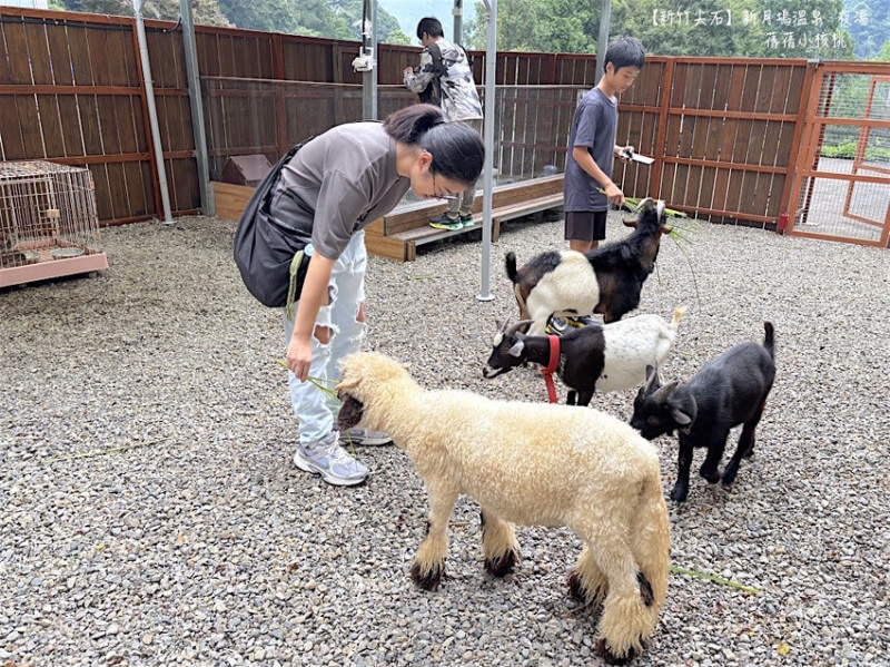 新竹縣尖石鄉【新竹尖石溫泉夜湯推薦】新月塢溫泉會館⎪鄰近內灣老街，逛完老街，到新月塢的夏日充氣水樂園消暑、和超萌小動物互動，再來一場超療癒的碳酸美人夜湯溫泉放鬆之旅！