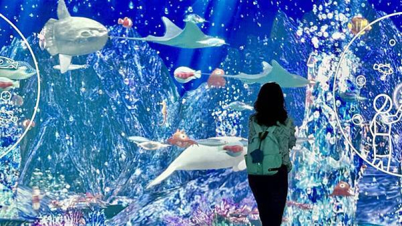 桃園Xpark五週年全新升級| 桃園巿民卡優惠| 全新夢幻主題最新五大亮點| 潛浸海洋沉浸式光影展覽| 享受奇幻又深刻的海洋之旅