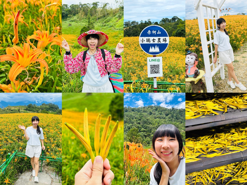 2025赤科山金針花季一日遊｜花海拍照秘境、窯燒金針體驗＋加蜜園美味風味餐全攻略！