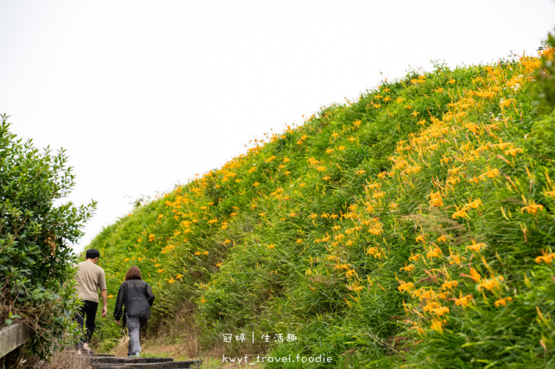台東太麻里金針花季賞花攻略，搭乘太麻里賞花專車，悠遊太麻里金針花季賞花路線，每年暑假限定的太麻里旅遊景點 – 冠婷生活趣