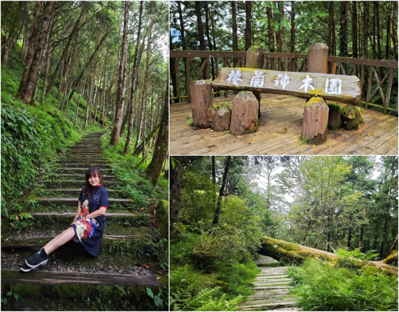 宜蘭秘境森林一日遊｜走進馬告神木的千年時光. - 老爺爺與小老婆