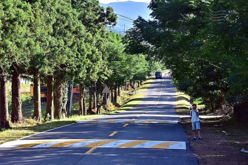 韓國濟州島【神奇之路】😲：違反地心引力，車子會向上坡滑動的不可思議道路