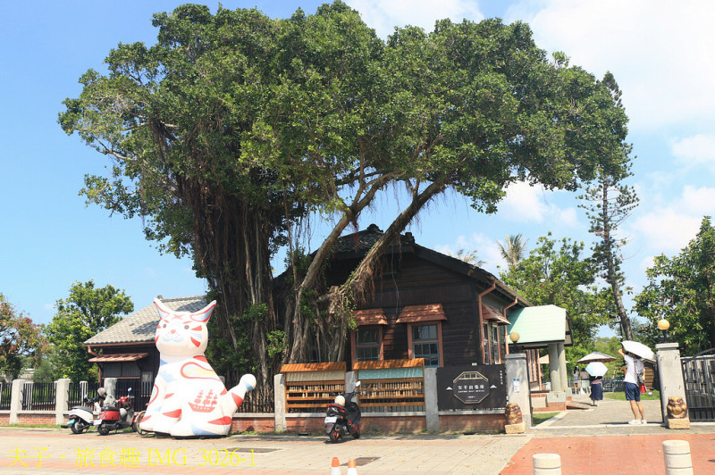 想看真正的水豚 近距離餵食與水豚互動 台南文創基地 安平出張所是首選
