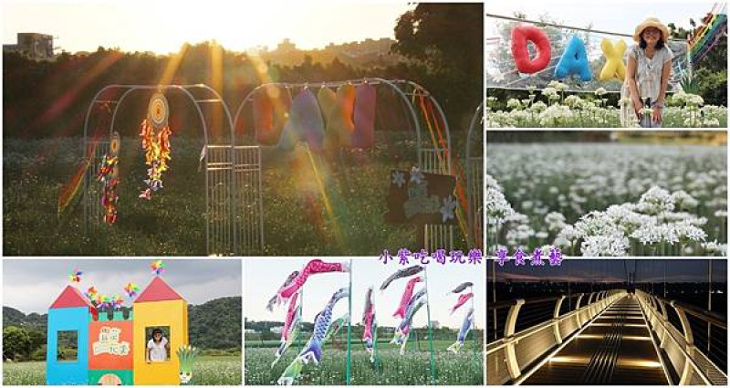 桃園免費景點(寵物友善)季節限定9月雪【2025大溪韭菜花季】免費租Ubike遊韭花田/5區花田拍照裝置(單趟1.4k)詳細遊記；路線指引