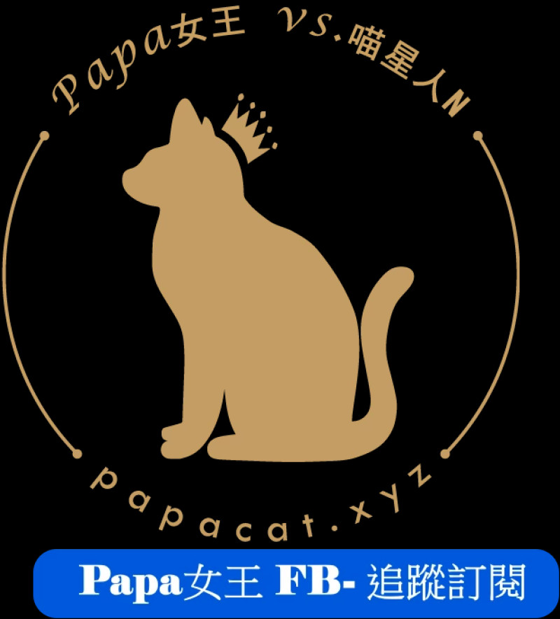 泰國老闆娘還原家鄉味！蘭桂泰豬肉丸河粉必吃，清澈湯頭濃郁不膩口。