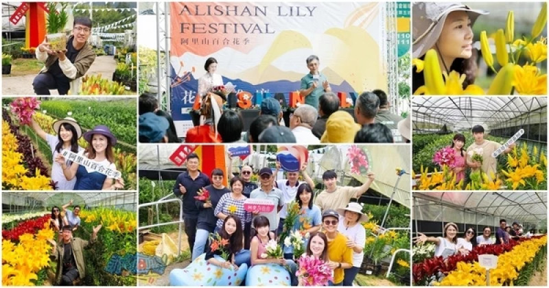 活動分享【2025阿里山百合花季】秋日浪漫的嘉義阿里山賞花之旅｜活動展期10/4(六)至10/31(五)｜美拍高山上的百合花海祕境｜超過40種荷蘭新品種百合花