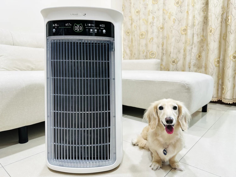 SoleusAir 吸毛大師宅配開箱｜長毛臘腸家必備的毛髮救星