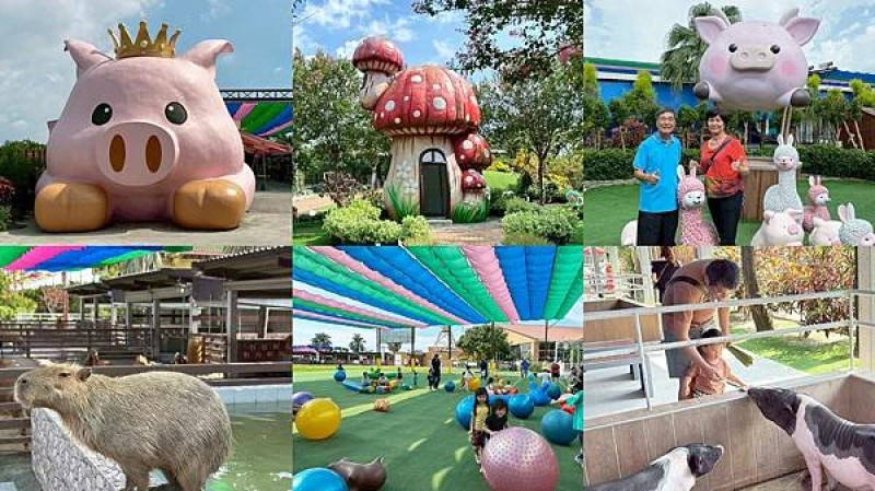 嘉義民雄親子旅遊景點！三隻小豬觀光農場，3000坪迷你動物園可玩一整天。