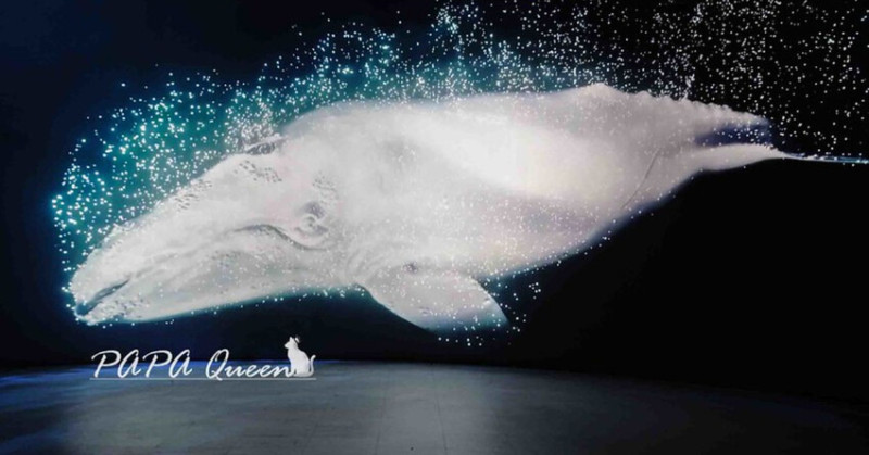 台中親子景點首選！國立自然科學博物館恐龍館、鯨掘特展，票價、必拍攻略。