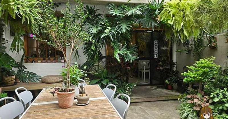 桃園咖啡廳推薦！桃園老宅福森院子迷你植物園必拍，藝文特區早午餐秘境。