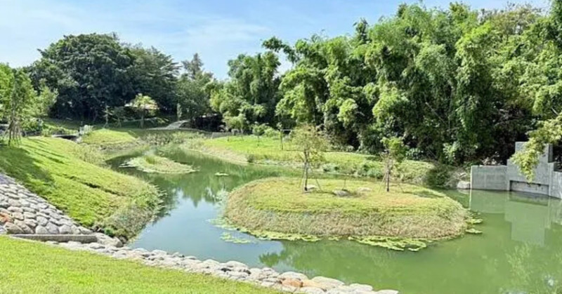 台南秘境再加一！哈赫拿爾森林走進 17 世紀古森林，造都市中的森林步道。