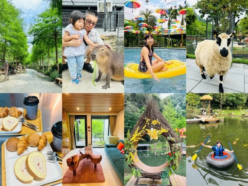 【鳳梨屋水上莊園】宜蘭員山超人氣親子景點！一泊三食住進落羽松秘境Villa、水豚君超萌陪玩～
