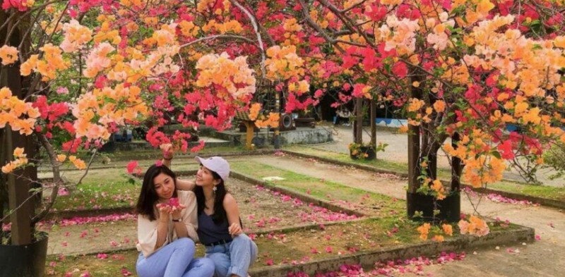 橋頭糖廠交通美食，門票資訊＆五分車體驗全包，吃冰搭五分車一日遊必玩。