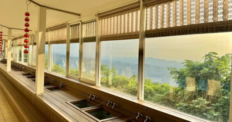 台中夜景餐廳推薦！鳥語花香泡腳邊賞百萬夜景，超萌小動物互動超療癒。