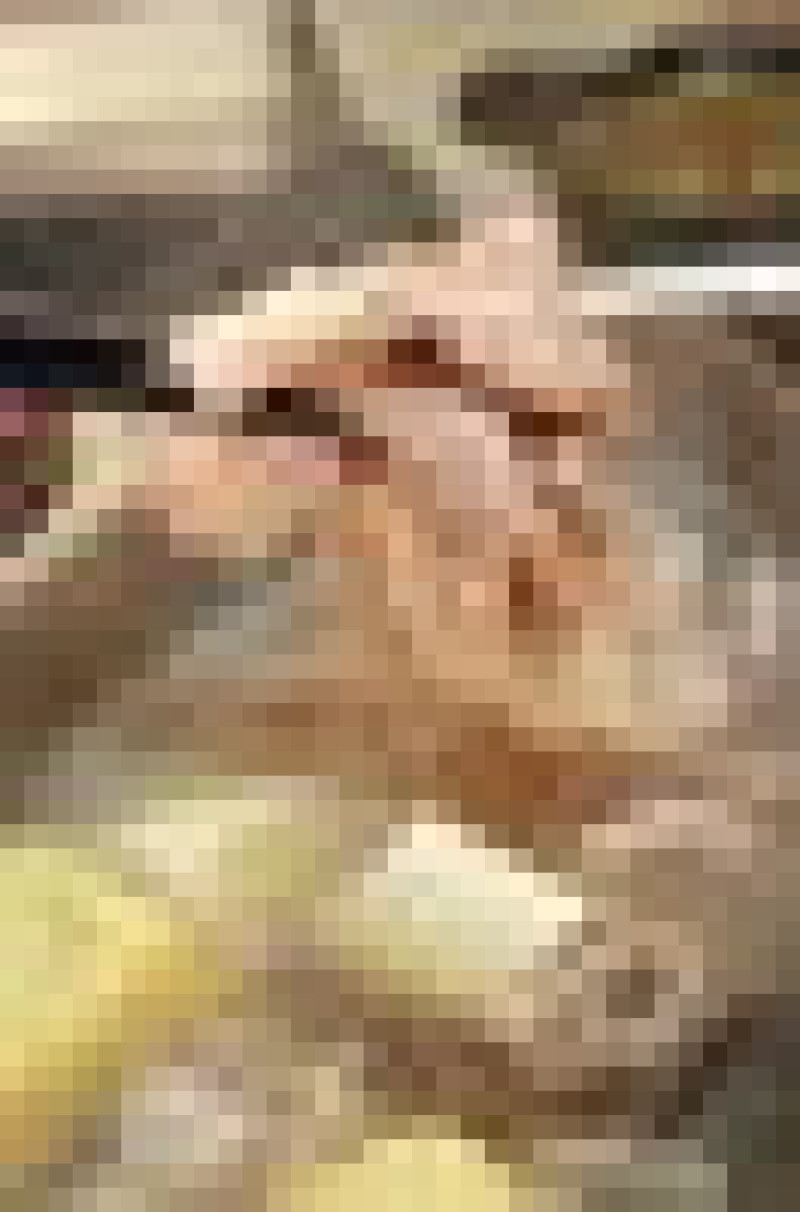 成都路‧高CP絕對飽的鍋爸鴛鴦鍋