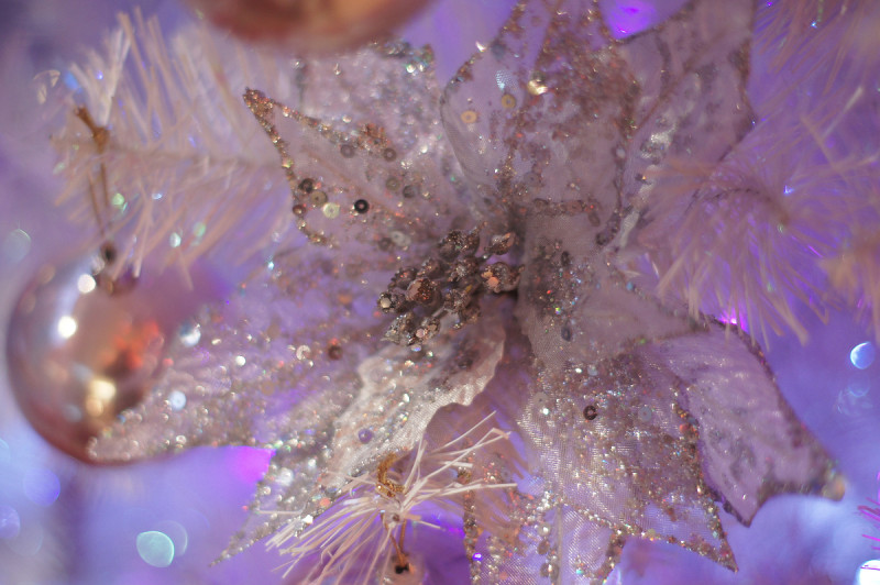 食在～粉紅色系ALICE CAFE