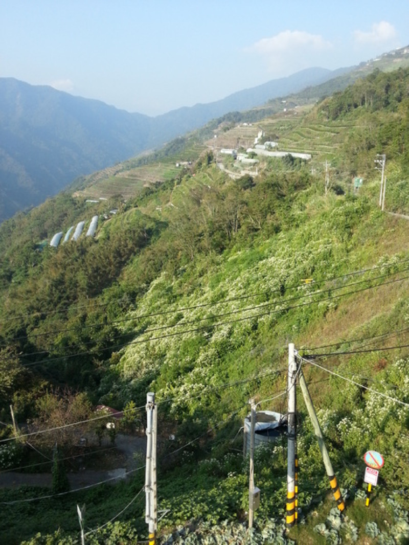 [南投][住宿]清境~永賀會館                
      