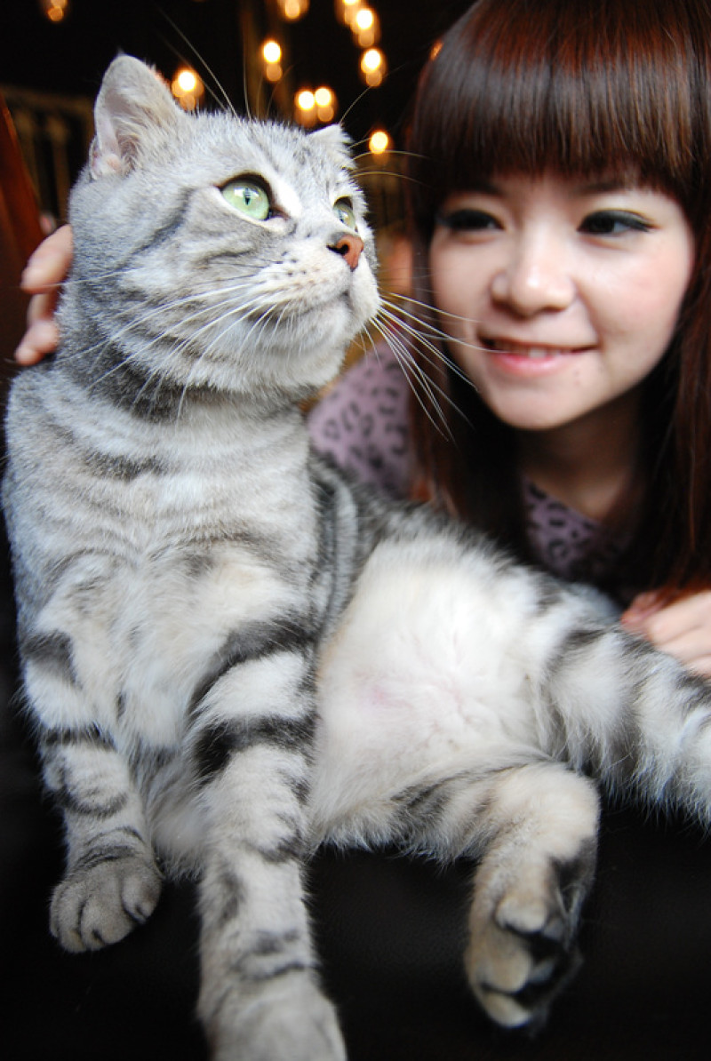 ◈中壢◈ⓜ突點義大利美食咖啡館(有雷)ⓜ