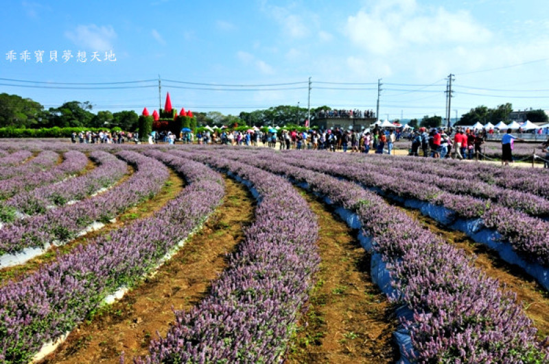 2019仙草花節 - 花漾楊梅仙境遊