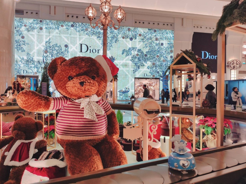 "熊熊"愛上你，攻陷你的心！熊控們衝阿~