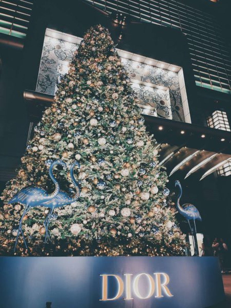 Dior 全球唯一的聖誕樹就在台北101，還不快手刀出發~