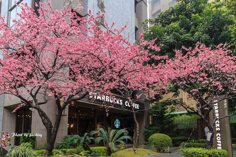 200204新北市-星巴克林口文化三門市