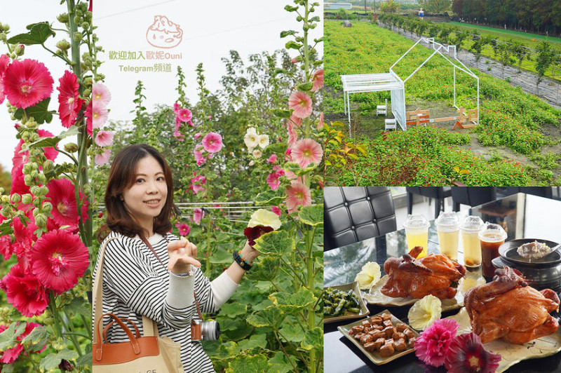 田中窯創意園區《蜀葵花海節》“宅一起” 是舒服的和你膩在一起