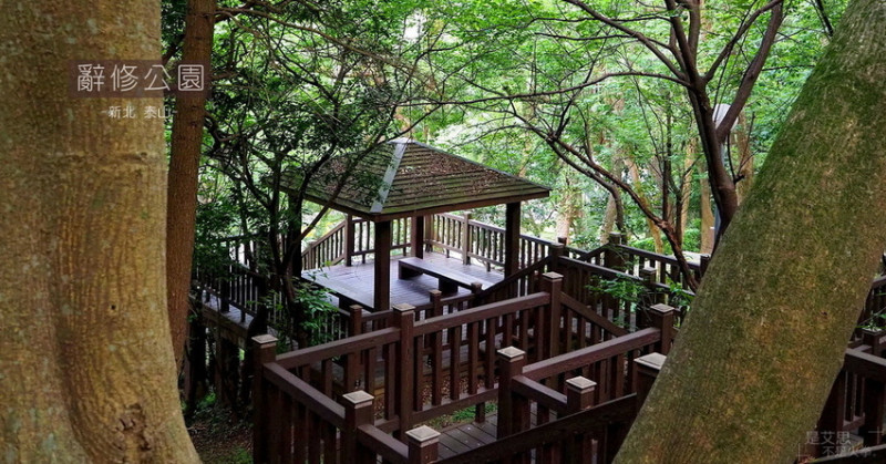 木棧道之美 新北泰山辭修公園