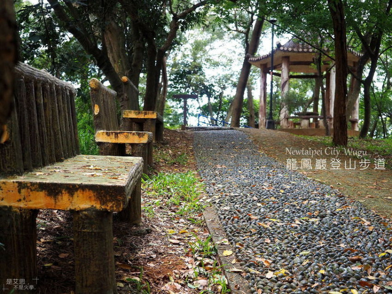 新北五股龍鳳巖登山步道 幼幼班程度 親子也能輕易達成