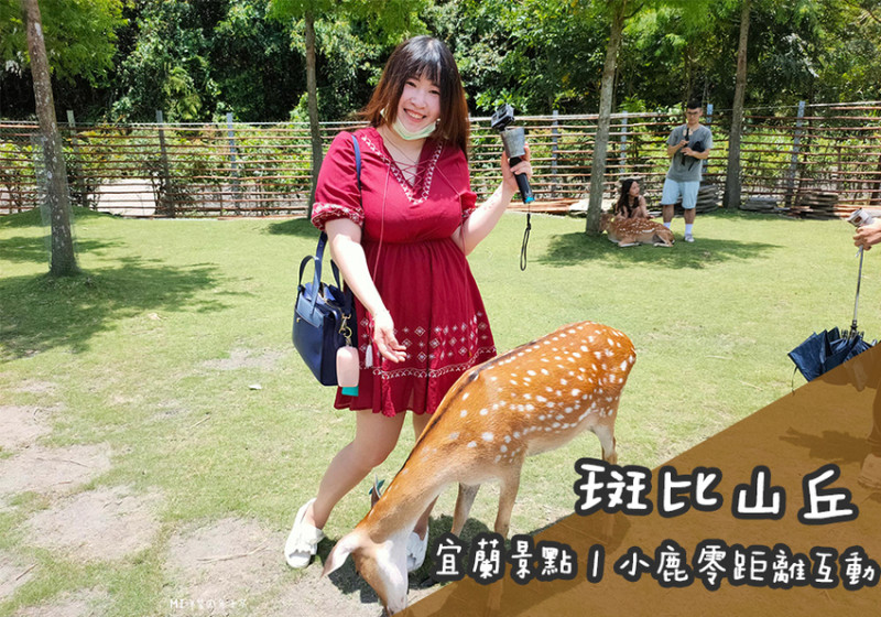 宜蘭景點。斑比山丘  在台灣也能與小鹿零距離互動