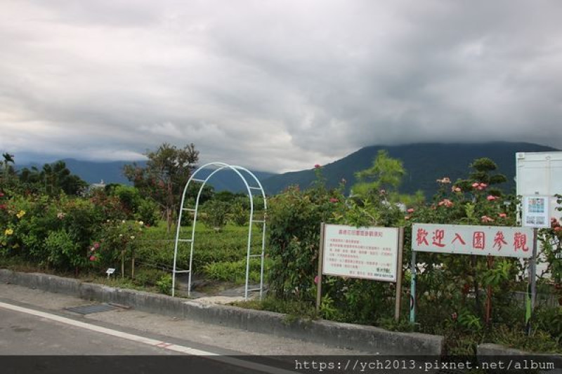 花蓮吉安／夏季的嘉德花田園區