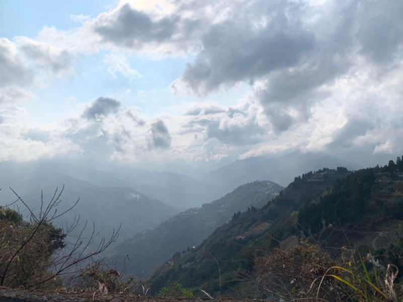 北橫拉拉山櫻花季-恩愛農場#桃園復興櫻花