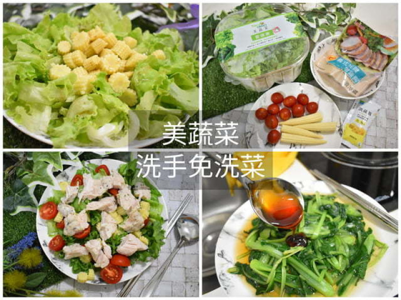 如何簡單快速吃出養生與健康！？NICE GREEn 美蔬菜，洗手後直接切菜，川燙或是冷拌沙拉，不用10分鐘，輕鬆快速上桌