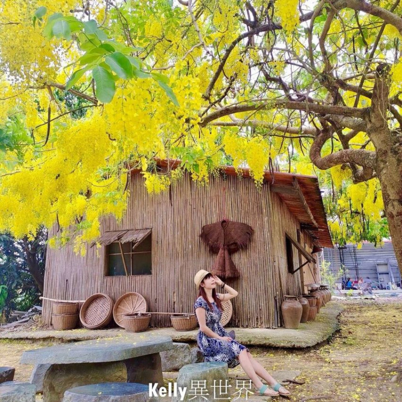 |台南景點 白河大山宮 金黃色阿勃勒滿開於獨立竹屋旁 夢幻浪漫景像讓大家愛不釋手|