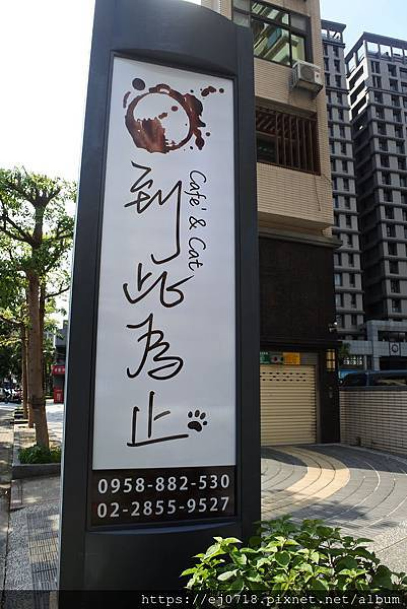 |美食|新北三重 到此為止。咖啡 寵物友善餐廳 超萌貓咪一同用餐 享受愜意舒適下午