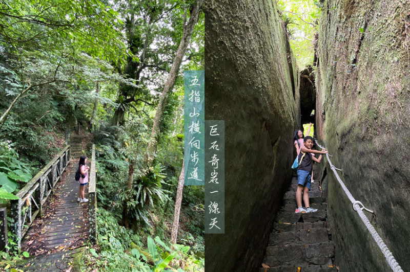 五指山- 猴洞步道巨石奇岩一線天．金龜岩森林祕境 