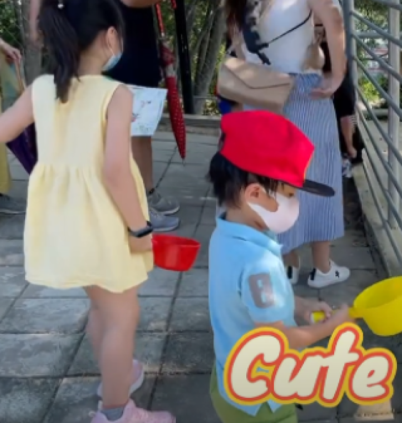 (Green forest綠意山莊）餵鹿,哈比村,童話小鎮,變形金剛~網美,網帥的最愛(超好拍!!)