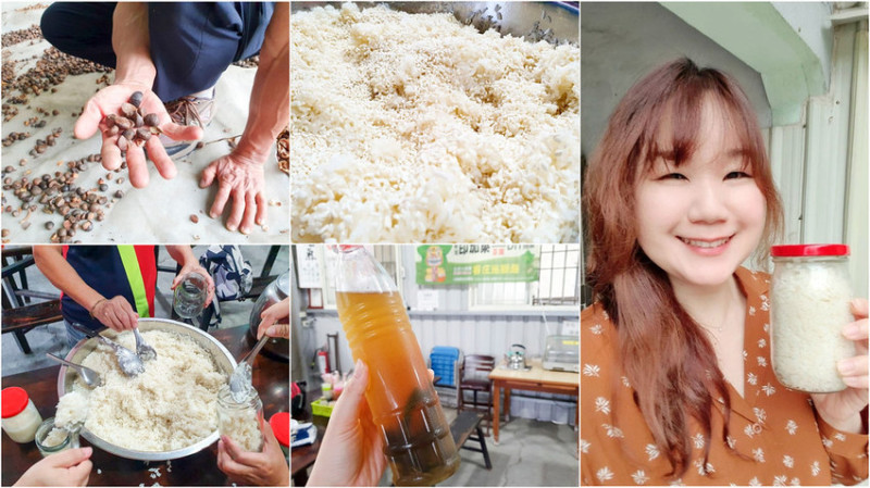 【屏東景點】高樹大路關文化驛站 甜酒釀DIY手作體驗 親子旅遊