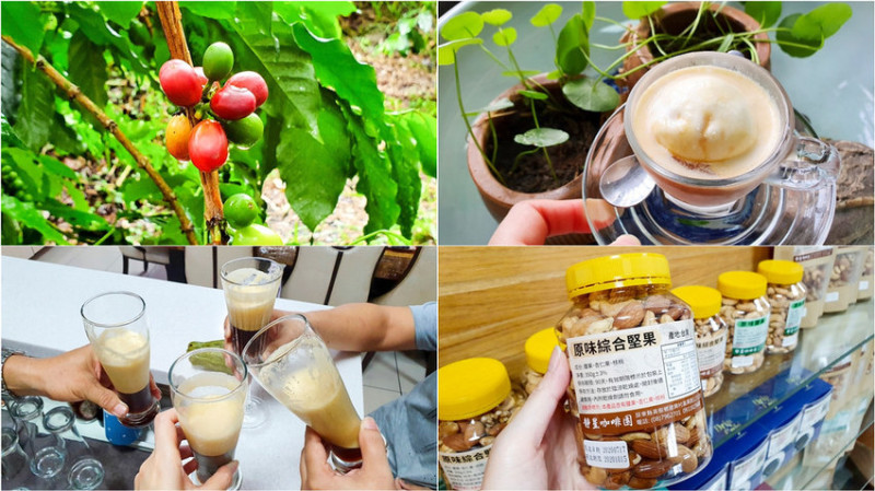 【屏東咖啡】靜星咖啡園 無農藥種植 在地咖啡小農 曬豆/洗豆/烘焙 採全預約制