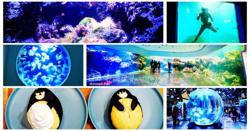 桃園市中壢區│青埔商圈輕旅行【Xpark 八景島水族館】不必出國！都會型水生公園│最新企鵝咖啡廳餐飲│必拍癒見水母超吸睛 - 德妹看新世界
