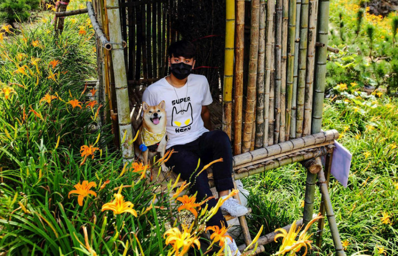 【遊。台北】竹子湖故鄉金針花農園〜陽明山竹子湖金針花秘境賞花，免跑花東！