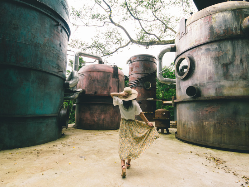 南投民宿。九樹森林-霍爾城堡｜全新網美打卡高塔森林民宿。躺在垂掛空中的吊床上觀星 - 黑皮的旅遊筆記